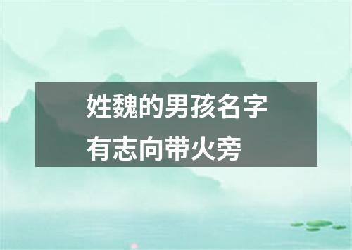姓魏的男孩名字有志向带火旁