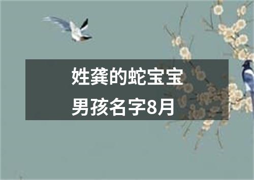 姓龚的蛇宝宝男孩名字8月