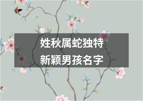 姓秋属蛇独特新颖男孩名字