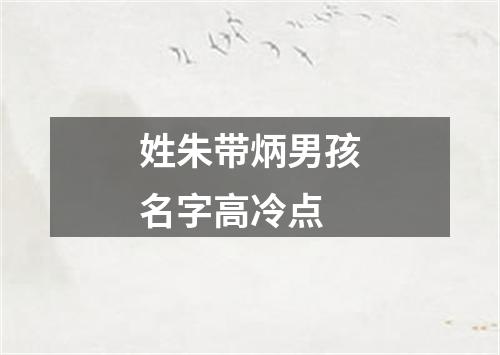 姓朱带炳男孩名字高冷点