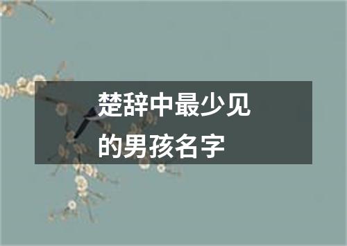 楚辞中最少见的男孩名字