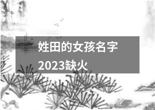 姓田的女孩名字2023缺火