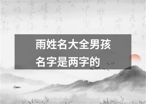 雨姓名大全男孩名字是两字的