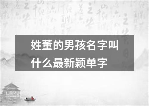 姓董的男孩名字叫什么最新颖单字