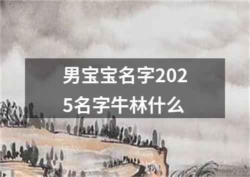 男宝宝名字2025名字牛林什么