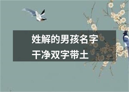 姓解的男孩名字干净双字带土