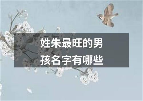 姓朱最旺的男孩名字有哪些