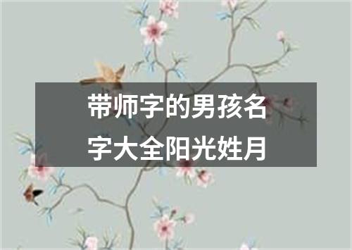 带师字的男孩名字大全阳光姓月