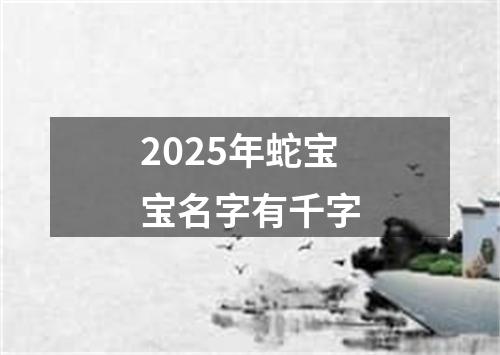 2025年蛇宝宝名字有千字