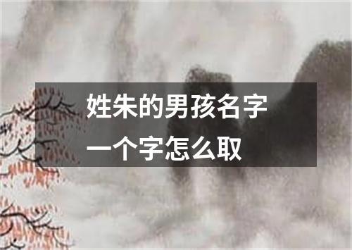 姓朱的男孩名字一个字怎么取