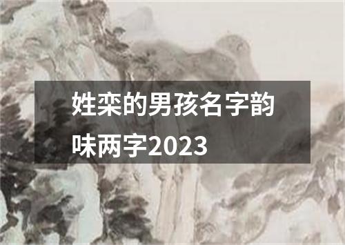 姓栾的男孩名字韵味两字2023