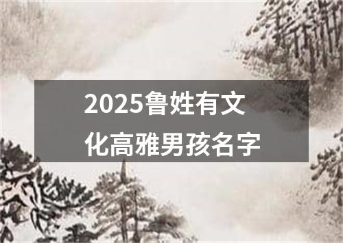 2025鲁姓有文化高雅男孩名字