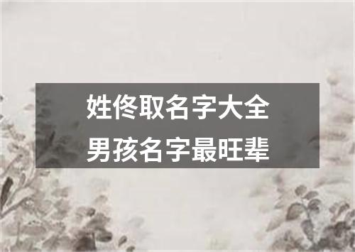 姓佟取名字大全男孩名字最旺辈