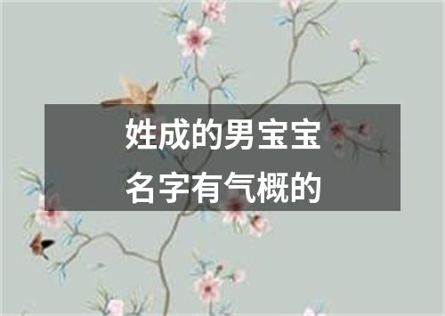 姓成的男宝宝名字有气概的