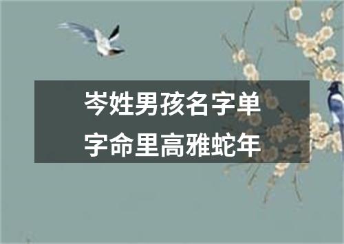 岑姓男孩名字单字命里高雅蛇年