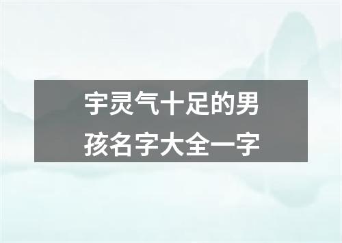 宇灵气十足的男孩名字大全一字