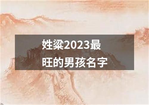 姓粱2023最旺的男孩名字