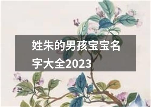 姓朱的男孩宝宝名字大全2023