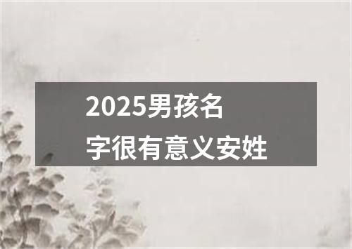 2025男孩名字很有意义安姓