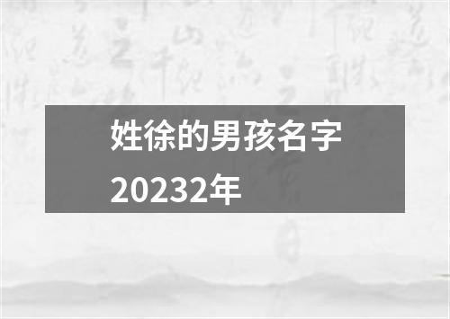 姓徐的男孩名字20232年
