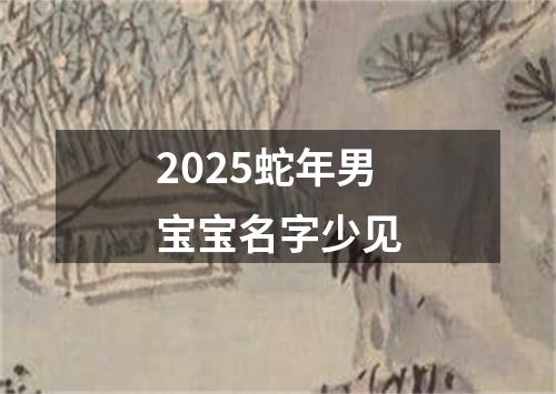 2025蛇年男宝宝名字少见