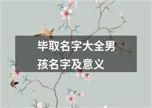 毕取名字大全男孩名字及意义