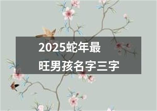 2025蛇年最旺男孩名字三字