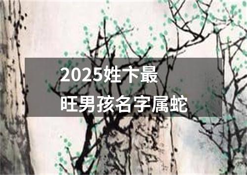 2025姓卞最旺男孩名字属蛇