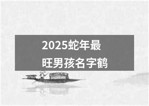 2025蛇年最旺男孩名字鹤