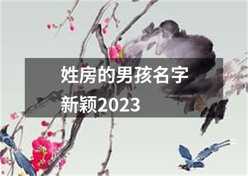 姓房的男孩名字新颖2023