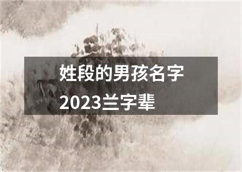 姓段的男孩名字2023兰字辈