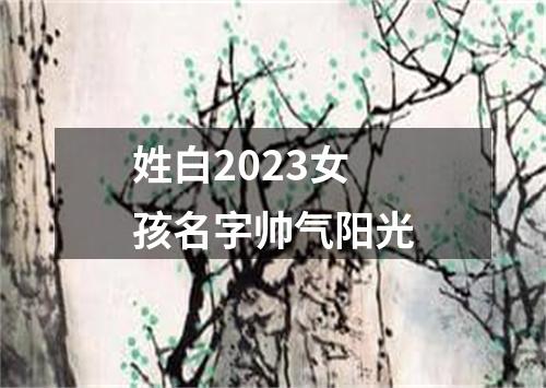 姓白2023女孩名字帅气阳光