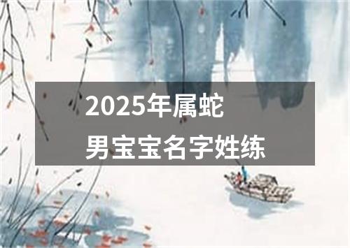 2025年属蛇男宝宝名字姓练