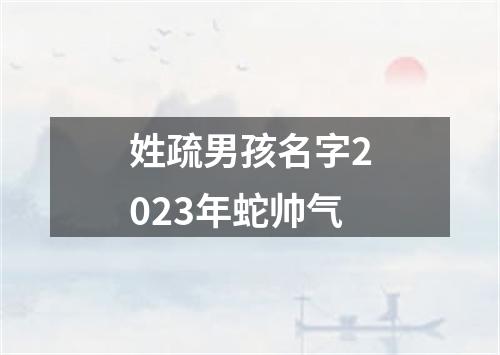 姓疏男孩名字2023年蛇帅气