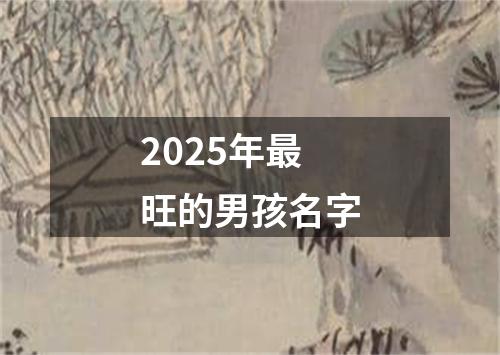 2025年最旺的男孩名字