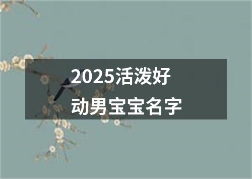 2025活泼好动男宝宝名字
