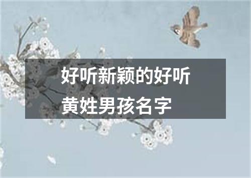 好听新颖的好听黄姓男孩名字