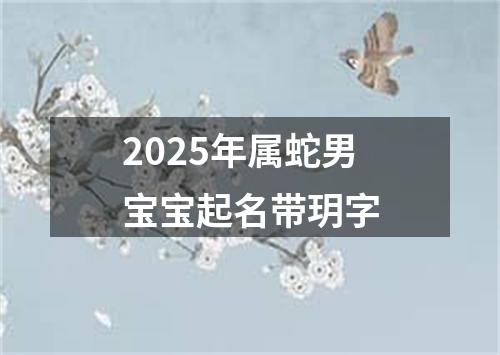 2025年属蛇男宝宝起名带玥字