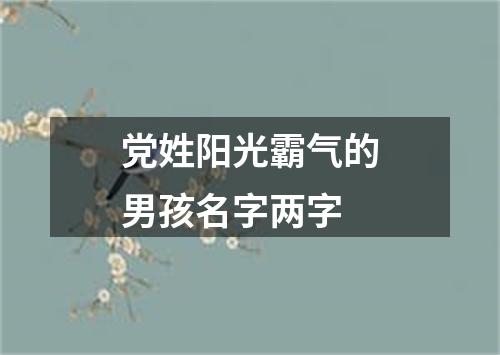 党姓阳光霸气的男孩名字两字