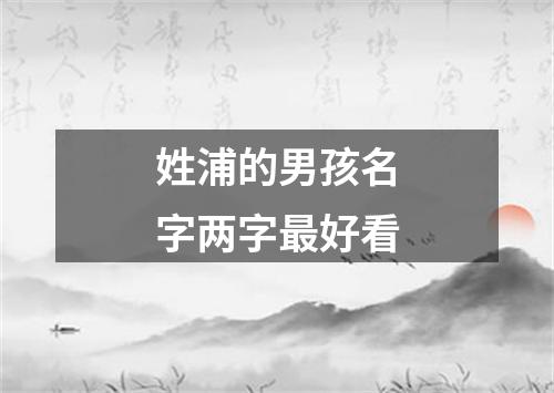 姓浦的男孩名字两字最好看