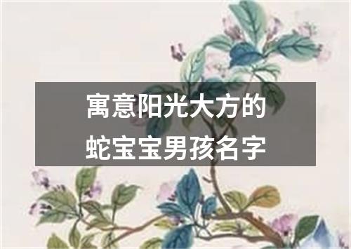 寓意阳光大方的蛇宝宝男孩名字