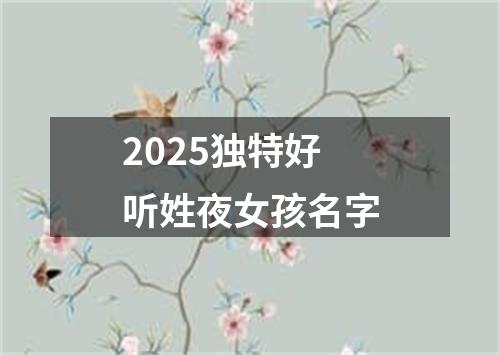 2025独特好听姓夜女孩名字