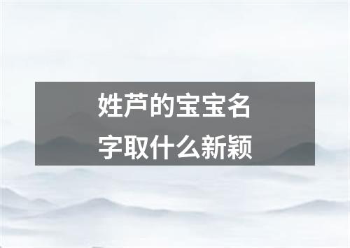 姓芦的宝宝名字取什么新颖