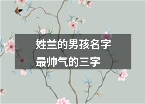 姓兰的男孩名字最帅气的三字