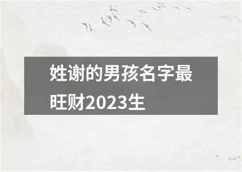 姓谢的男孩名字最旺财2023生