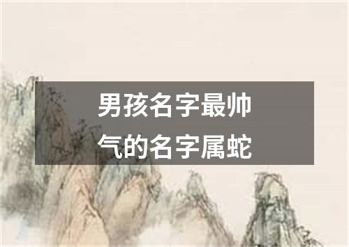 男孩名字最帅气的名字属蛇