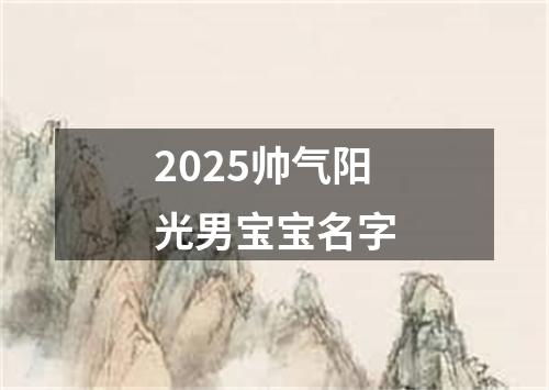 2025帅气阳光男宝宝名字