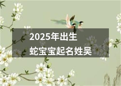 2025年出生蛇宝宝起名姓吴