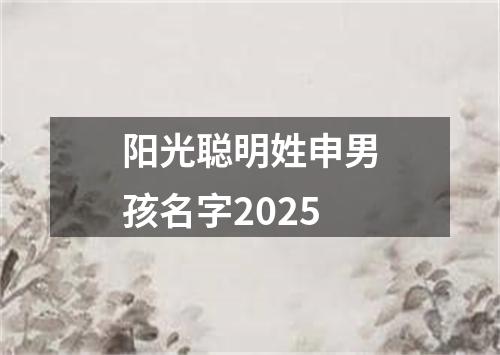 阳光聪明姓申男孩名字2025