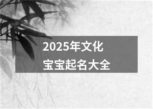 2025年文化宝宝起名大全
